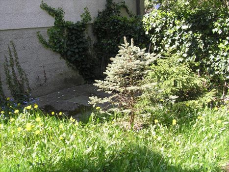 Działka inna na sprzedaż Gdynia, Witomino, Wrzosowa 393m2 Foto 6