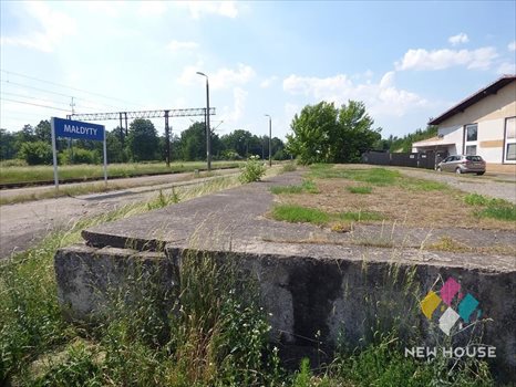 Lokal użytkowy na wynajem Małdyty 1 000m2 Foto 6