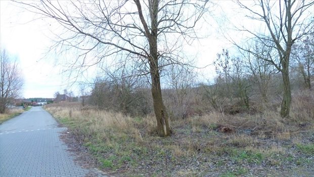 Działka komercyjna na sprzedaż Gorzów Wielkopolski, Karnin 872m2 Foto 2