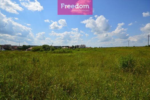 Działka budowlana na sprzedaż Siedliska 1 180m2 Foto 6