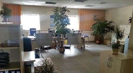 Lokal użytkowy na wynajem Sękocin Nowy 534m2 Foto 6