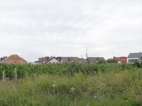 Działka inwestycyjna na sprzedaż Bielany Wrocławskie 15 653m2 Foto 4
