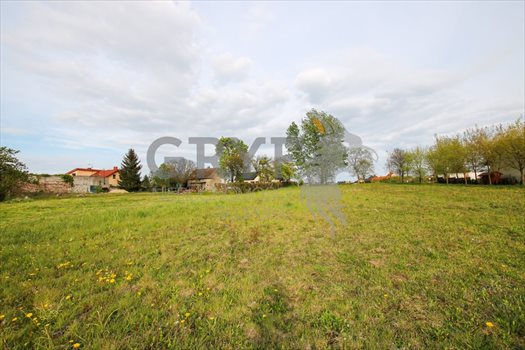 Działka budowlana na sprzedaż Siemianice, Siemianice 4 300m2 Foto 3
