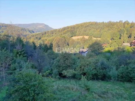 Dom na sprzedaż Ustroń, Zawodzie 400m2 Foto 2