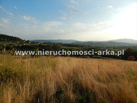 Działka budowlana na sprzedaż Limanowa 2 686m2 Foto 1