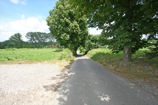 Działka budowlana na sprzedaż Płouszowice-Kolonia 1 700m2 Foto 3