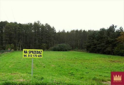 Działka budowlana na sprzedaż Rybnik 3 990m2 Foto 5