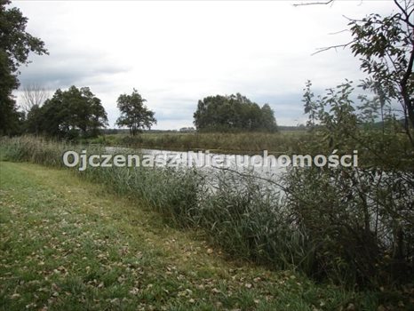 Działka rolna na sprzedaż Brzoza 3 013m2 Foto 6