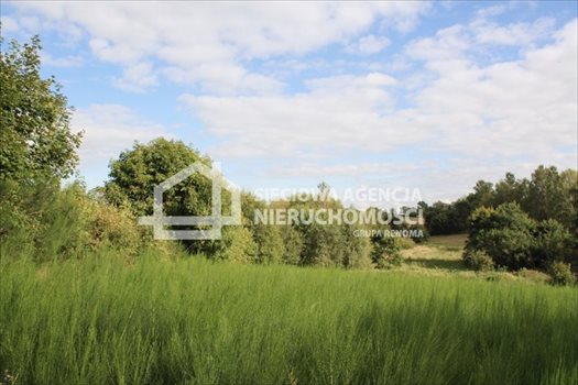 Działka budowlana na sprzedaż Tokary 2 540m2 Foto 6