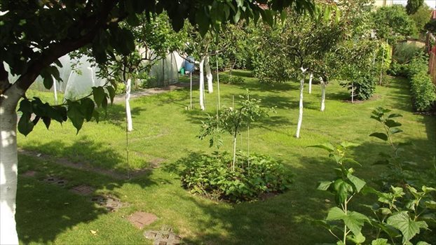 Dom na sprzedaż Wilkasy, Wilkasy 180m2 Foto 9