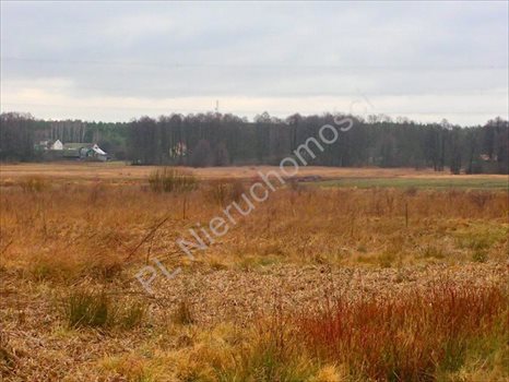 Działka rolna na sprzedaż Budy Przytockie 2 700m2 Foto 10
