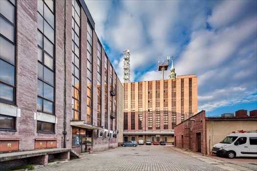 Lokal użytkowy na sprzedaż Gliwice 7 246m2 Foto 9