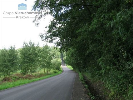 Działka inna na sprzedaż Konary, Brzegi 6 800m2 Foto 7