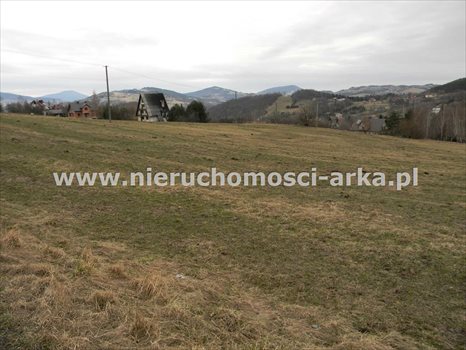 Działka budowlana na sprzedaż Sowliny 3 000m2 Foto 1
