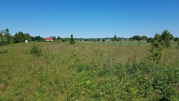 Działka budowlana na sprzedaż Jezierzany 5 000m2 Foto 4