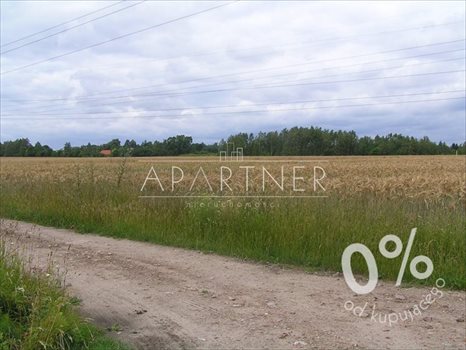 Działka rolna na sprzedaż Rzgów 8 391m2 Foto 1