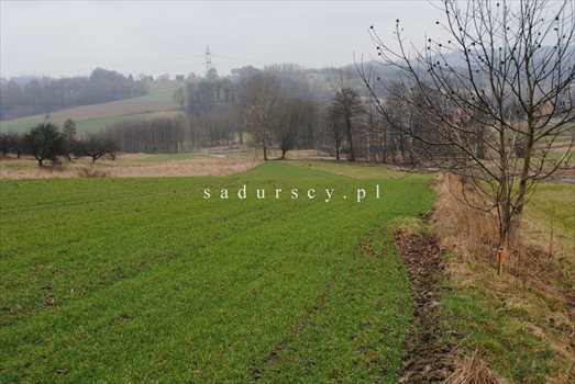 Działka budowlana na sprzedaż Bochnia, Frycza 1 456m2 Foto 1