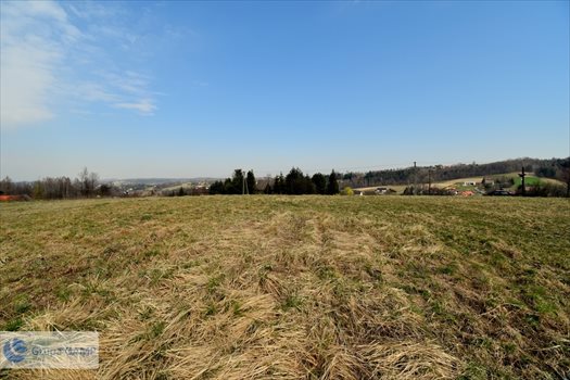 Działka inna na sprzedaż Barwałd Górny 8 066m2 Foto 2