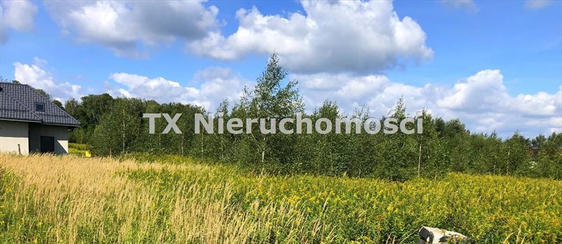 Działka budowlana na sprzedaż Gliwice, Wójtowa Wieś 630m2 Foto 3