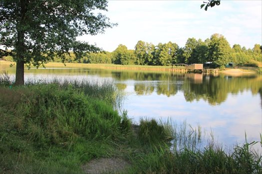 Działka rekreacyjna na sprzedaż Łąkie 1 500m2 Foto 4
