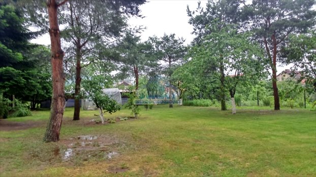 Dom na sprzedaż Płoty 1 750m2 Foto 5