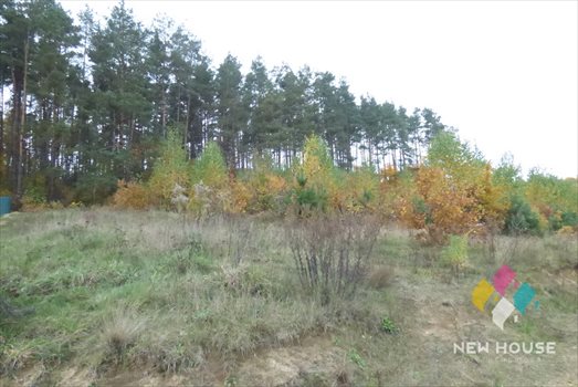 Działka budowlana na sprzedaż Barczewko 3 017m2 Foto 4