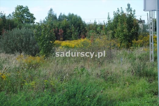 Działka budowlana na sprzedaż Balice, Krakowska 4 200m2 Foto 4