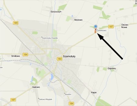 Lokal użytkowy na sprzedaż Szamotuły, Ludwikowo 4 200m2 Foto 12