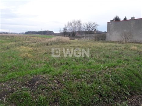 Działka budowlana na sprzedaż Smardów, Smardów 1 000m2 Foto 6