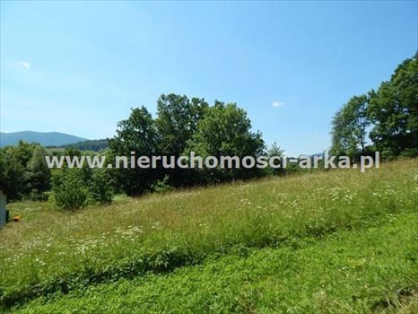 Działka budowlana na sprzedaż Skrzydlna 2 600m2 Foto 2