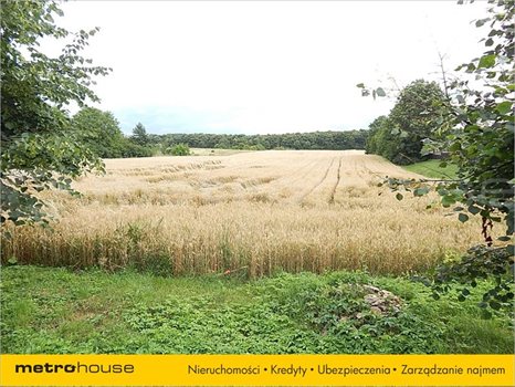 Działka inna na sprzedaż Depułtycze Królewskie, Chełm 32 926m2 Foto 3