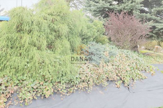 Działka inna na sprzedaż Kraków, Swoszowice, Rajsko, Romana Żelazowskiego 1 600m2 Foto 1