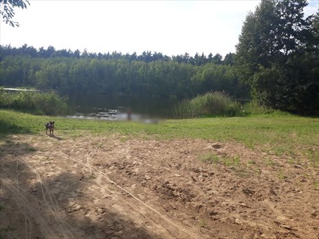 Działka rekreacyjna na sprzedaż Choszczno 11 600m2 Foto 5