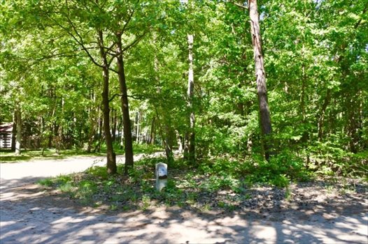 Działka budowlana na sprzedaż Sokolniki-Las, Jagiellońska 982m2 Foto 8