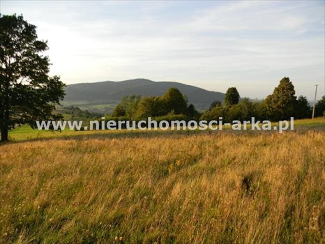 Działka budowlana na sprzedaż Skrzydlna 7 400m2 Foto 6
