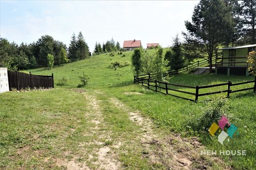 Działka siedliskowa na sprzedaż Łutynowo 3 006m2 Foto 4