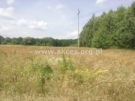 Działka rolna na sprzedaż Pawłówka 71 900m2 Foto 8