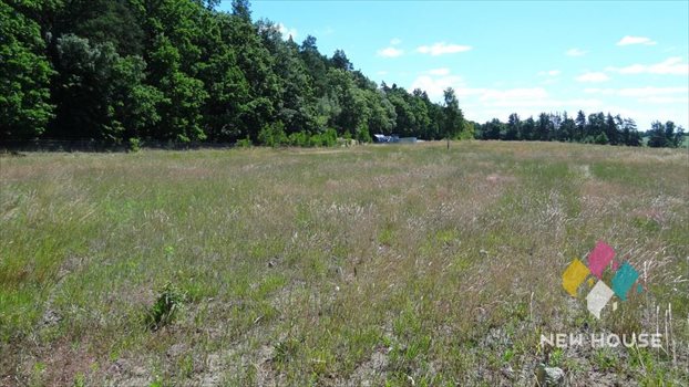 Działka rolna na sprzedaż Maruny 3 000m2 Foto 6