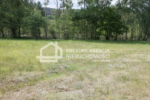 Działka budowlana na sprzedaż Lubowidz 950m2 Foto 12