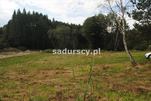 Działka budowlana pod dzierżawę Gosprzydowa 50 000m2 Foto 4