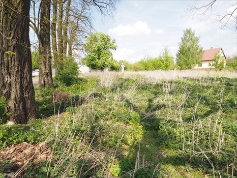 Działka inna na sprzedaż Chełm, Chełm 1 156m2 Foto 7
