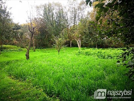 Dom na sprzedaż Płoty, obrzeża 120m2 Foto 2