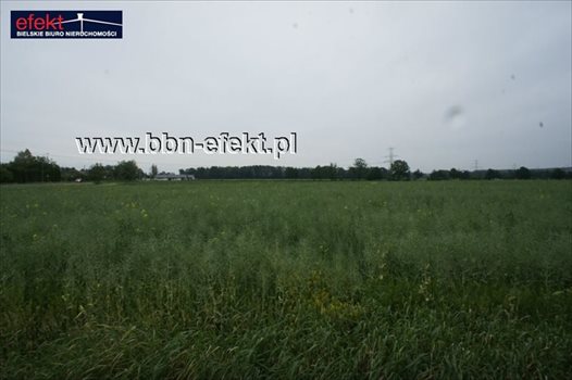 Działka budowlana na sprzedaż Międzyrzecze Dolne 4 959m2 Foto 4