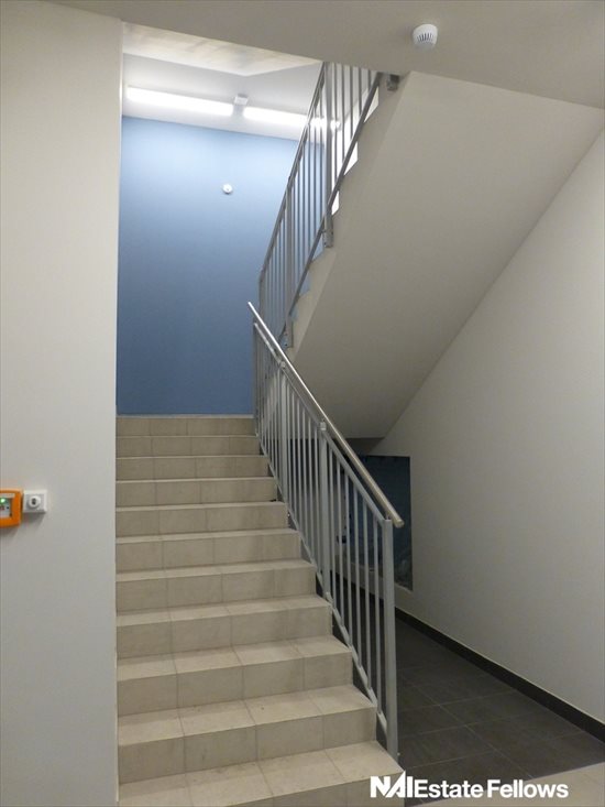 Lokal użytkowy na wynajem Kraków, Rybitwy 400m2 Foto 6