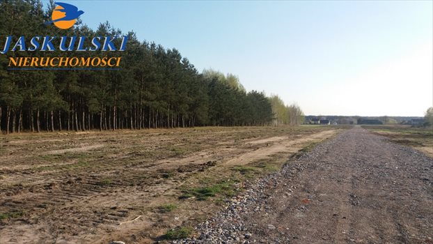 Działka budowlana na sprzedaż Wiązowna 2 440m2 Foto 5