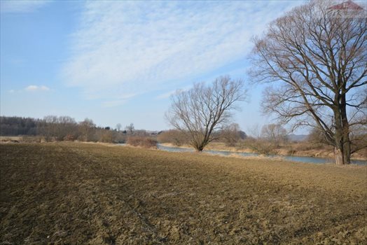 Działka rekreacyjna na sprzedaż Wara 2 955m2 Foto 3