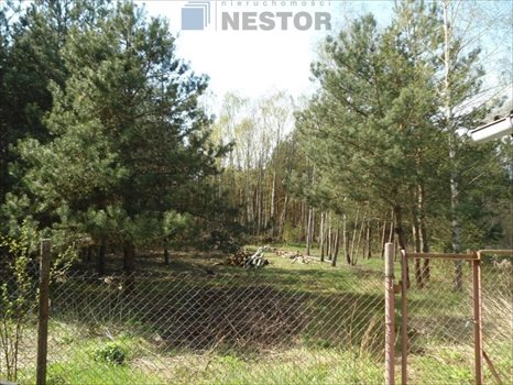 Działka inna na sprzedaż Nowy Prażmów 2 246m2 Foto 7