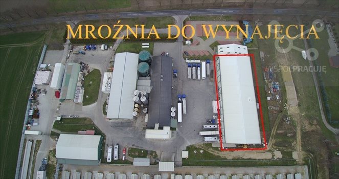 Lokal użytkowy na wynajem Gorzów Wielkopolski, okolice 1 940m2 Foto 3