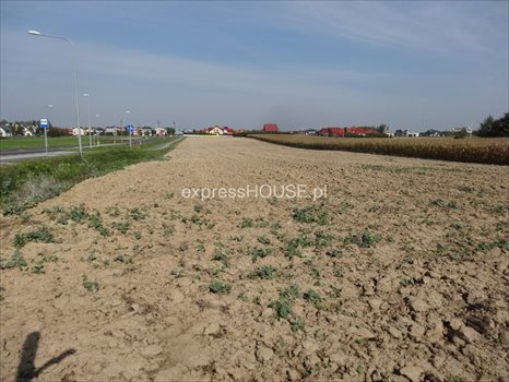 Działka budowlana na sprzedaż Łęczna, Krasnystawska 15 700m2 Foto 2