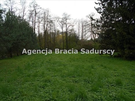 Działka rolna na sprzedaż Januszowice 2 800m2 Foto 11